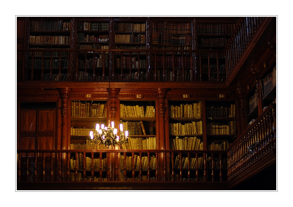 Bibliothek in Morelia
