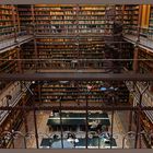 Bibliothek Rijksmuseum