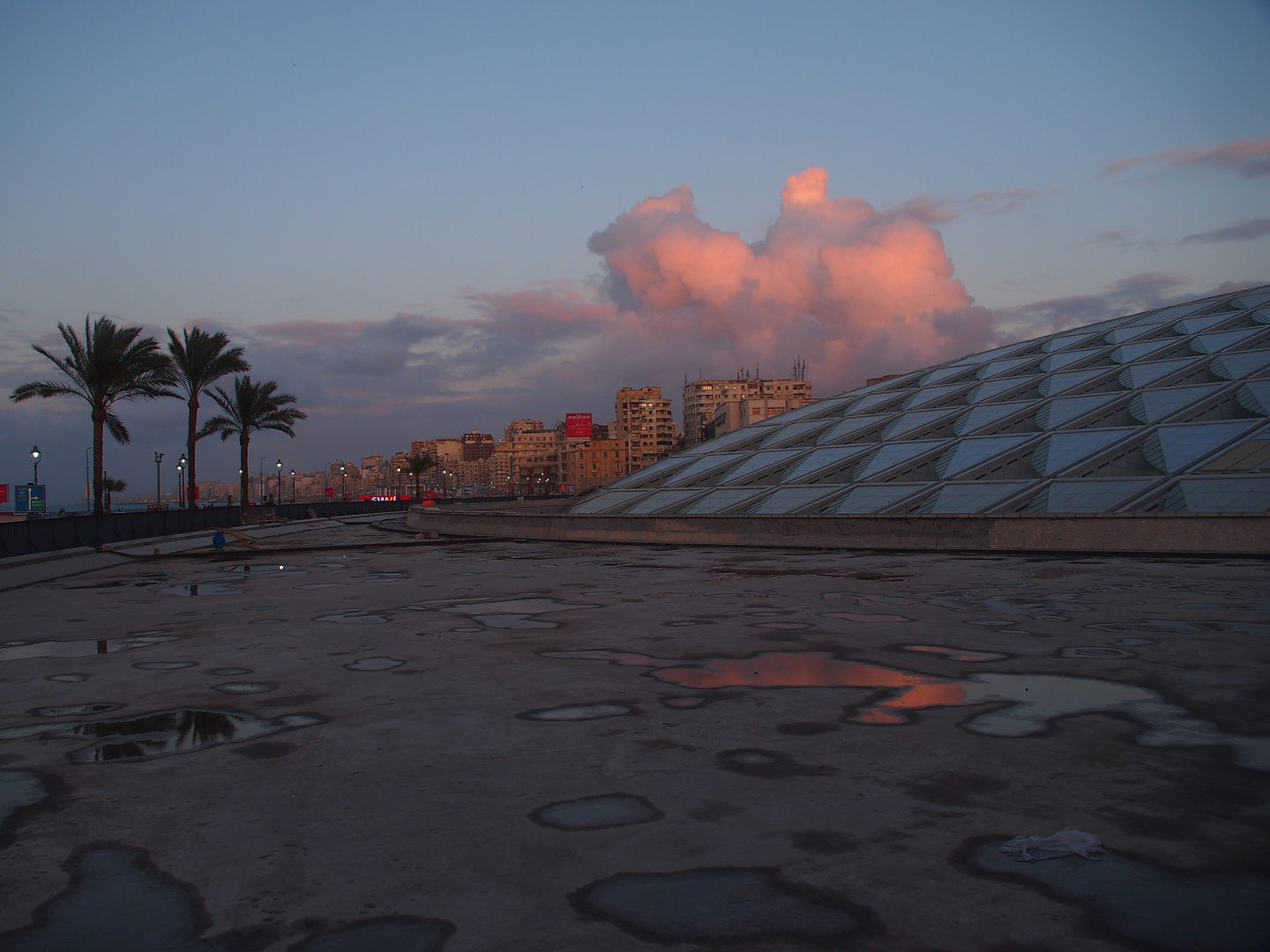 Bibliothek von Alexandria