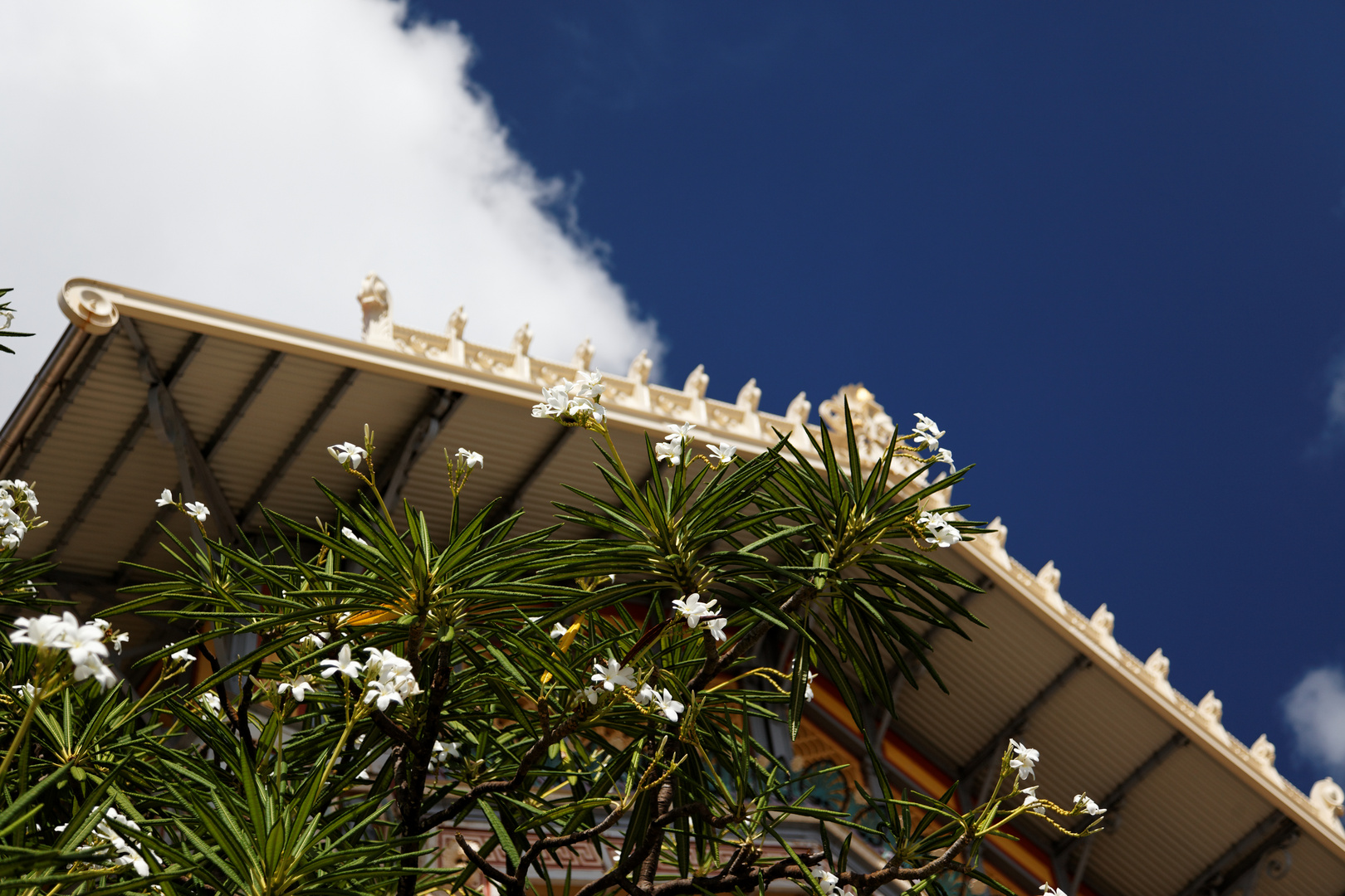 Bibliotheque Schoelcher 2 Foto & Bild north america, central america