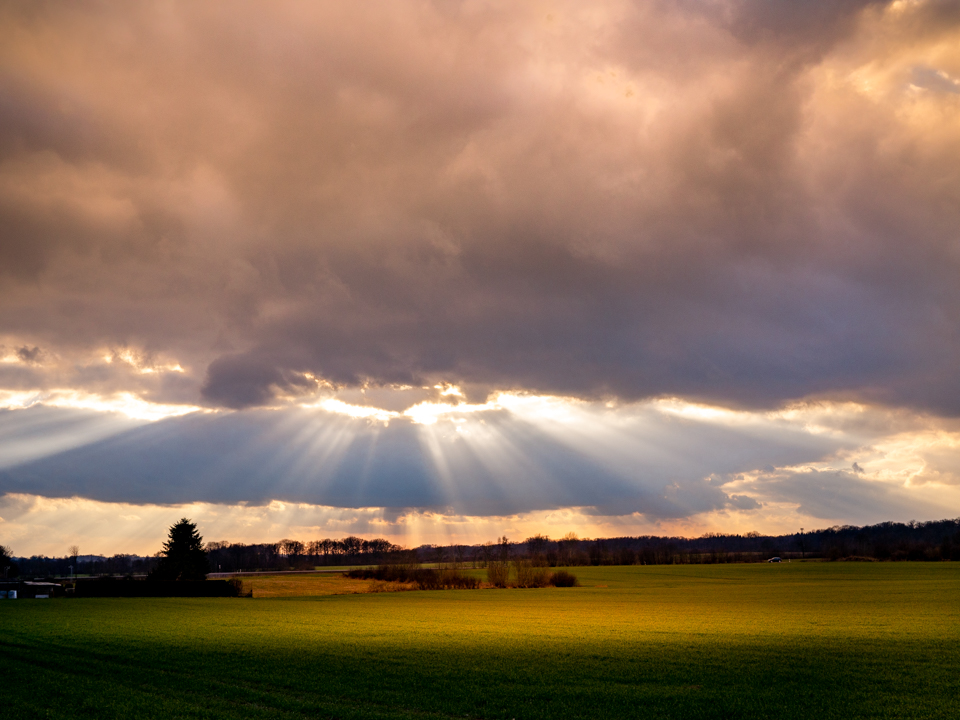 Biblisches Licht bei Neumünster