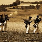Bicentenario de la Batalla de Vitoria 1813-2013