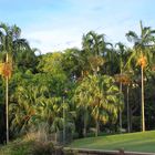 Bicentennial Park, Darwin