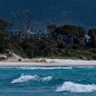 Bicheno Beaches