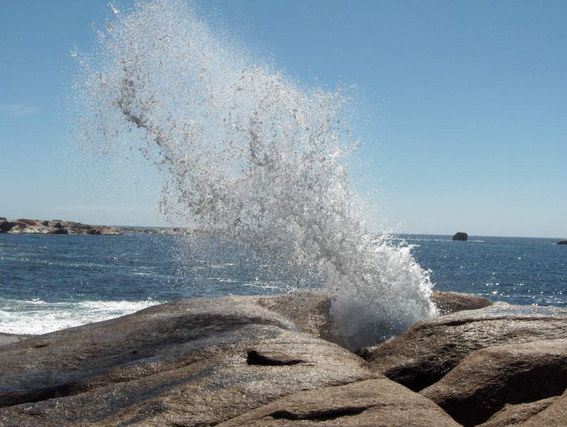 Bicheno Blowhole Tasmania