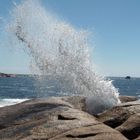 Bicheno Blowhole Tasmania