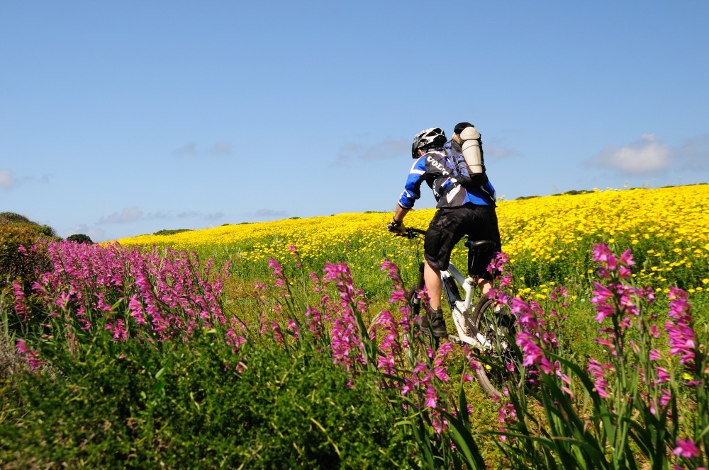 Bici e fiori