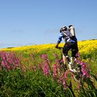 Bici e fiori