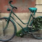 bici ecologica