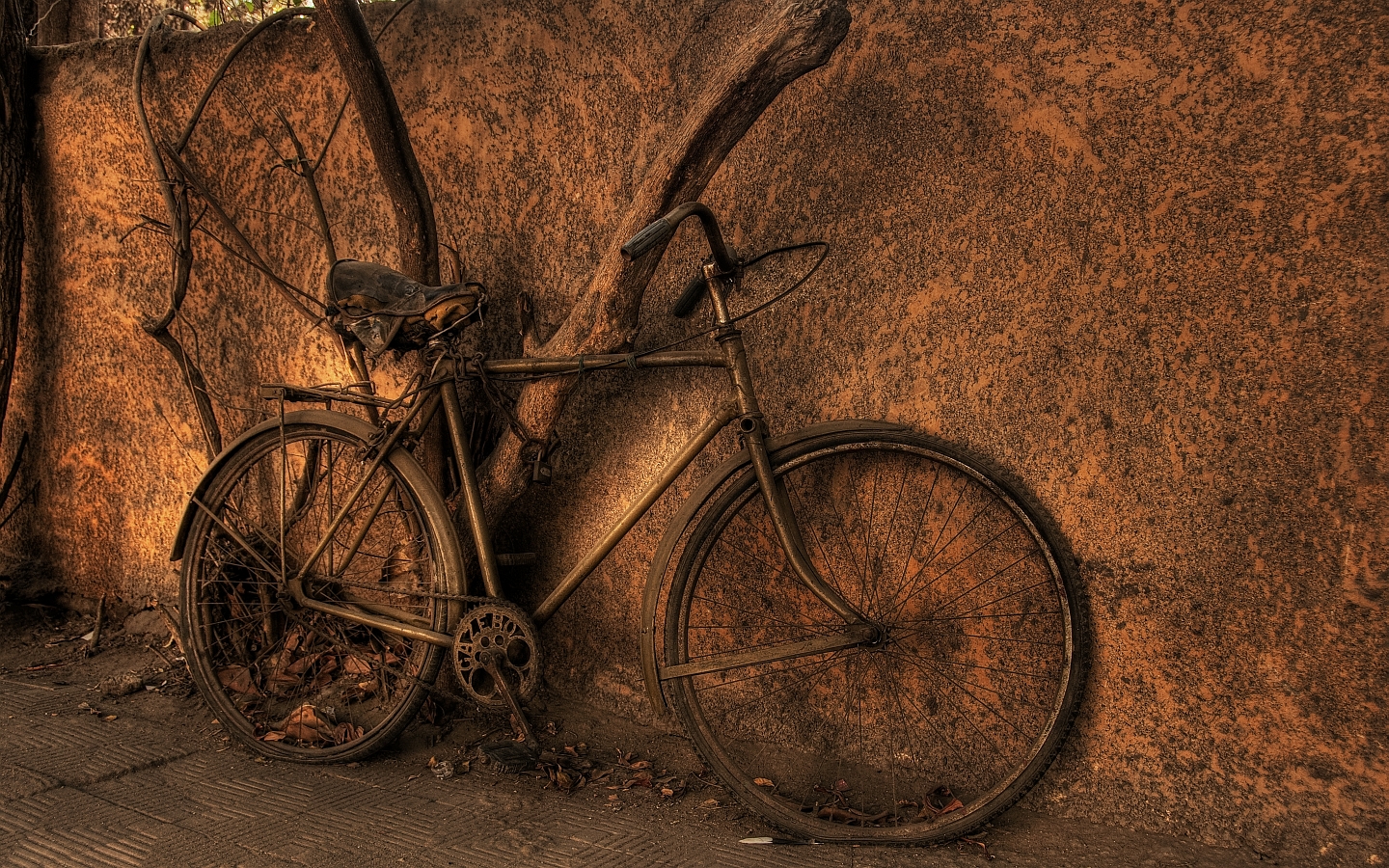 Bicicleta abandonada