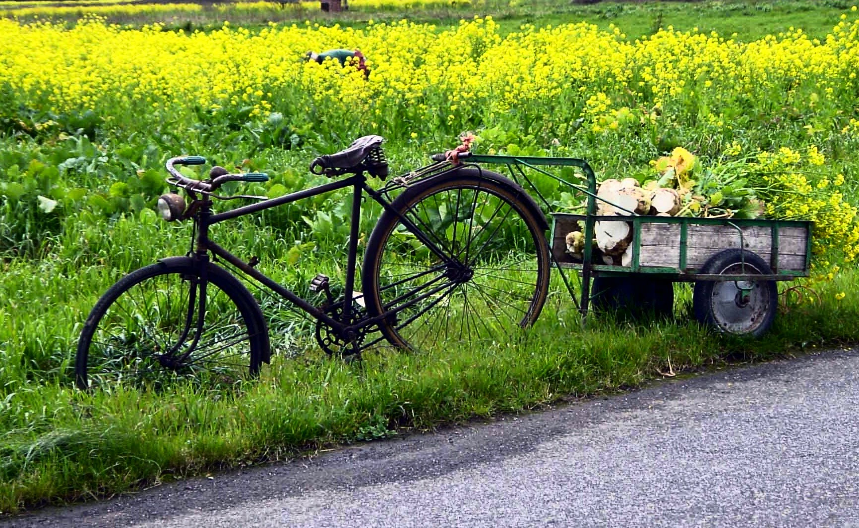 Bicicleta de trabajo