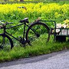 Bicicleta de trabajo