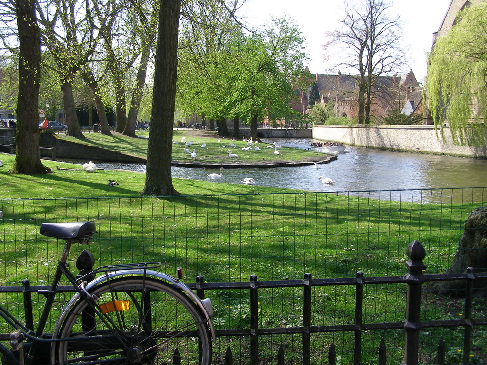 bicicleta en el lago