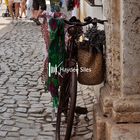 Bicicleta en el real camino