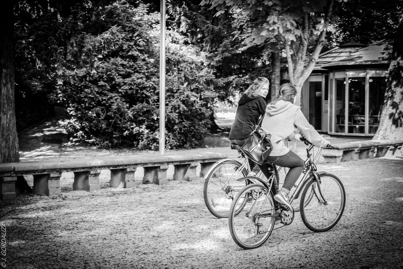 Bicicletas en el parque