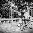 Bicicletas en el parque