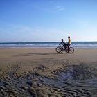 BICICLETAS EN LA ARENA 