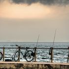 Bicicletas y cañas de pescar, deportes en armonía con el ambiente.