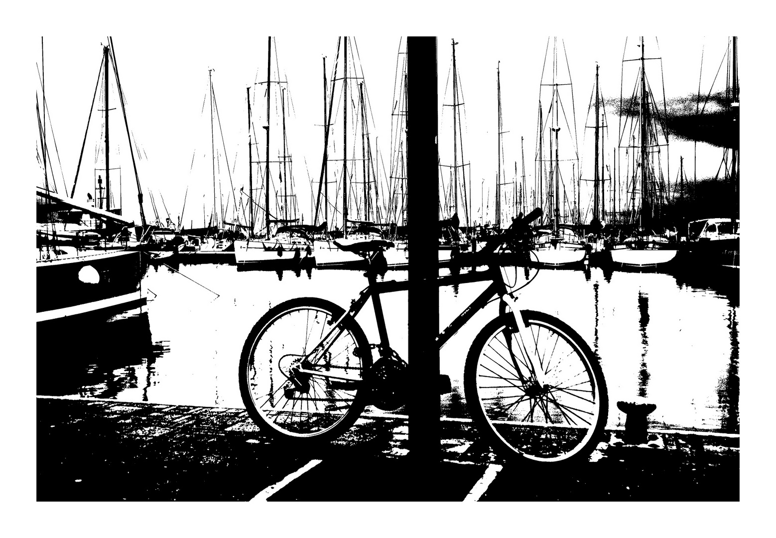 Bicicletta