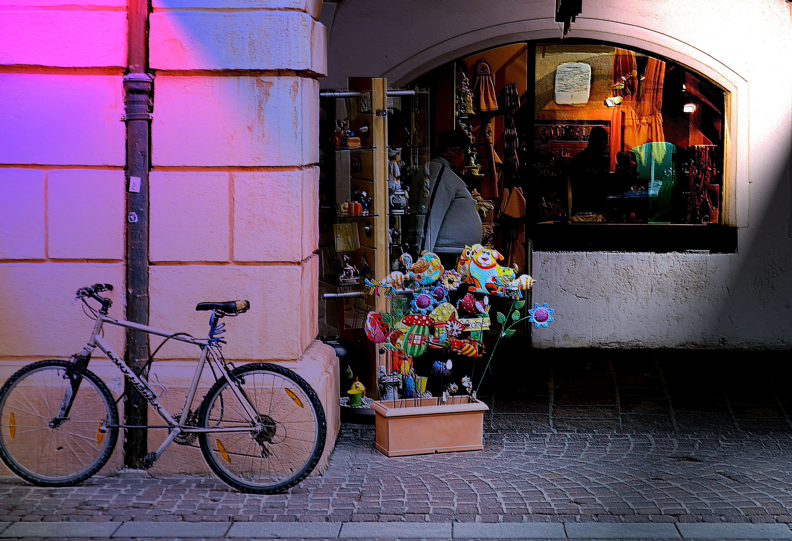 Bicicletta con negozio