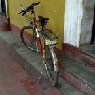 bicicletta con targa