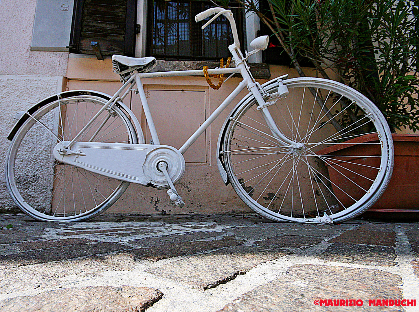 BICICLETTA IN BIANCO