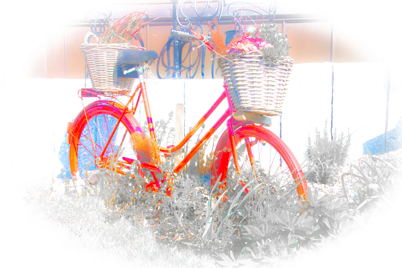 Bicicletta rossa