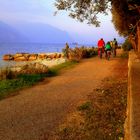 Biciclettando lungo il lago di Garda....