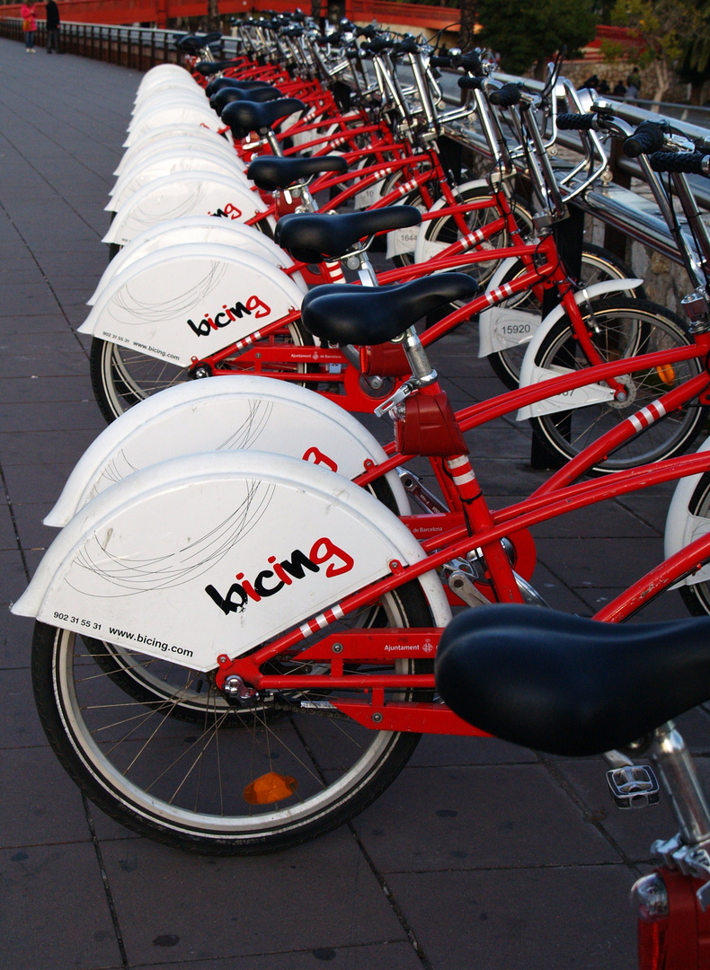 Bicing a Barcellona