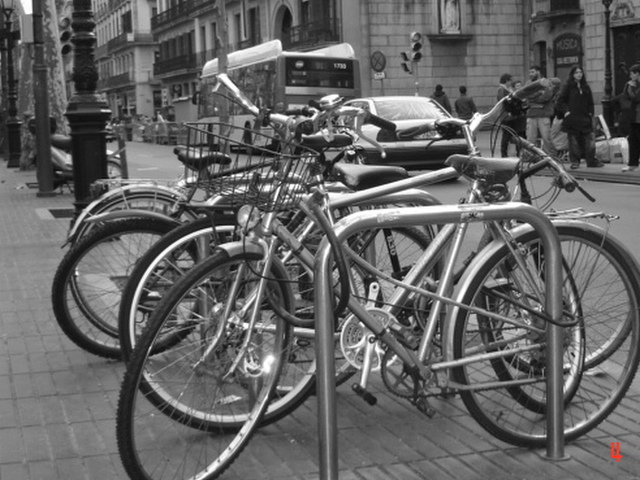 Bicis