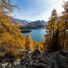 Bick auf Silvaplanasee im Engadin