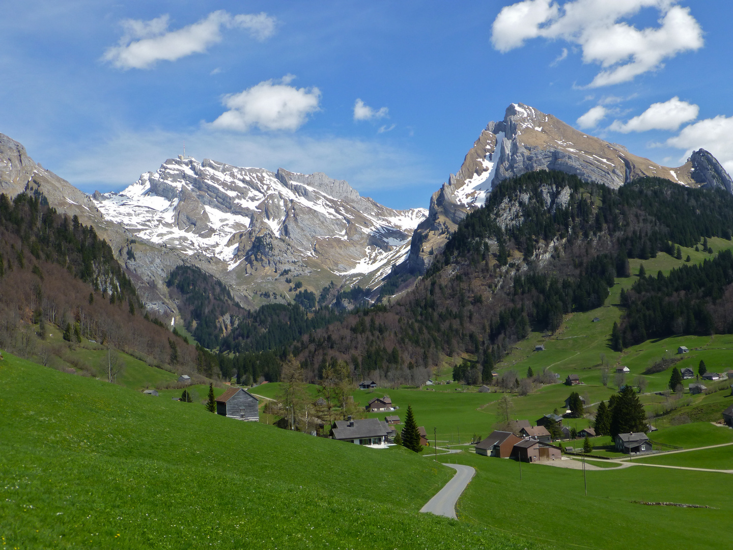 Bick vom Toggenburg auf den Säntis