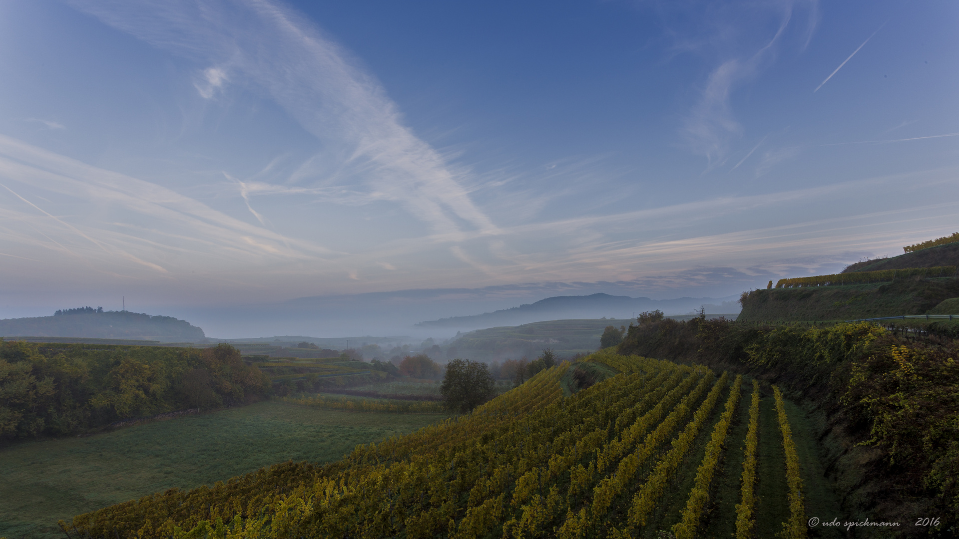 Bickensohl beim Kaiserstuhl