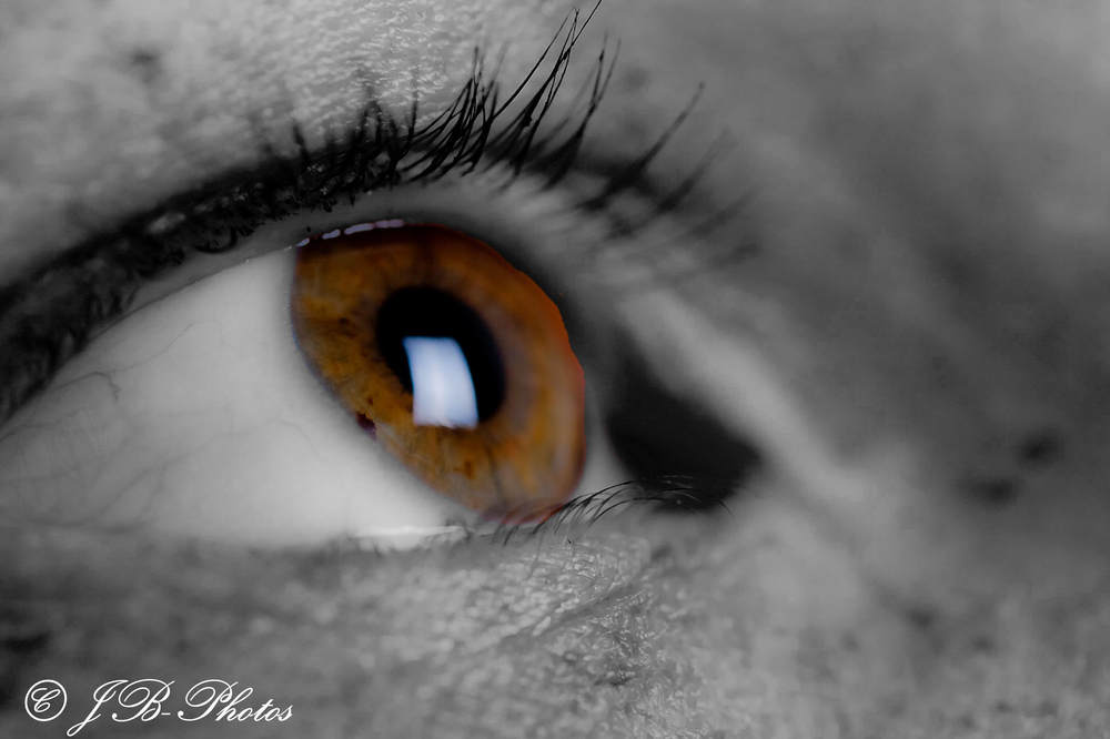 Bicolor Eye