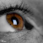 Bicolor Eye