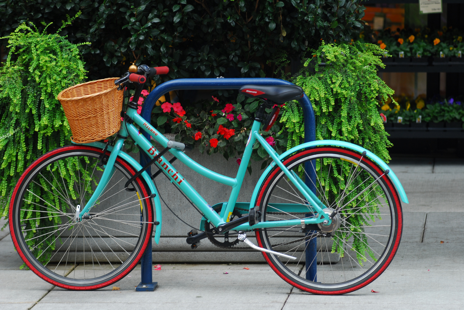 Bicycle at Whole foods in the Pearl