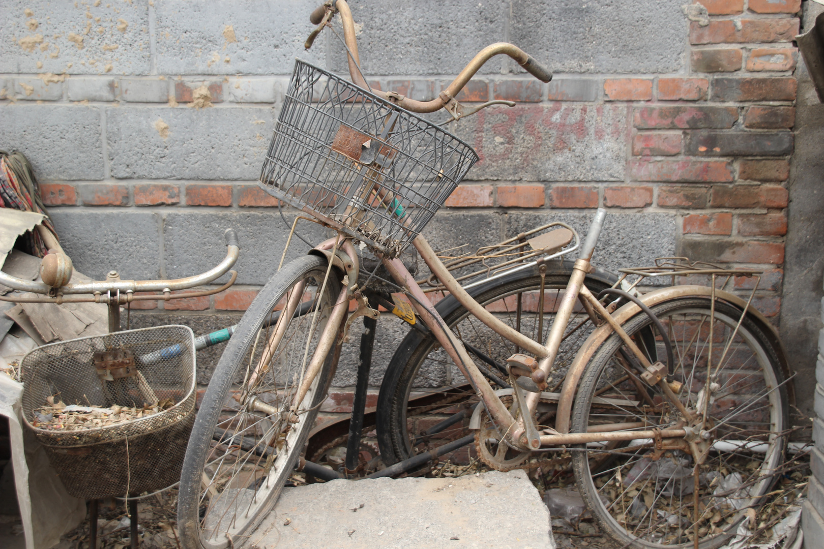 Bicycle in Beijing