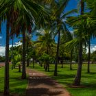 Bicycle Path, Mindil Beach Park