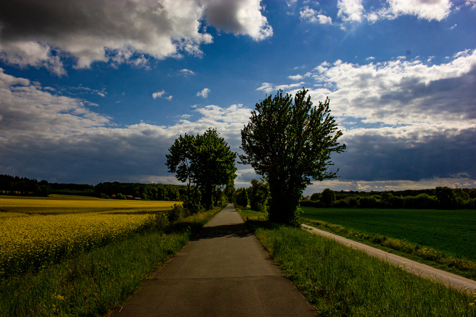 Bicycle path Rosendahl-Darfeld, Germany