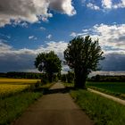 Bicycle path Rosendahl-Darfeld, Germany