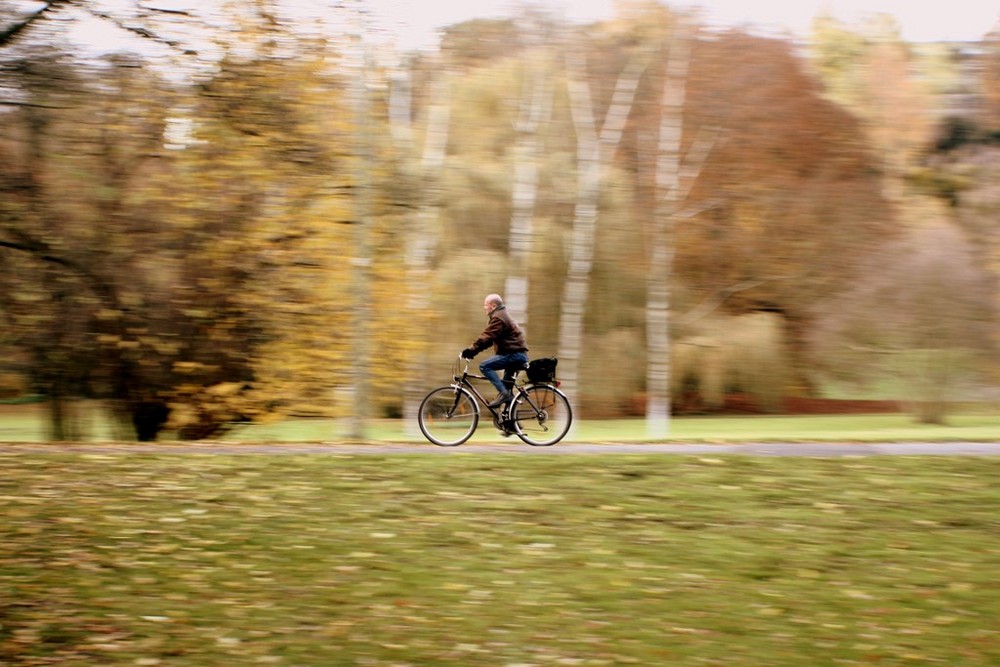 Bicycle-Rider of this Town