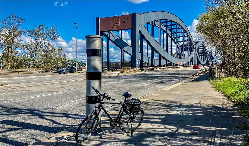 * Bicycle Tour * 