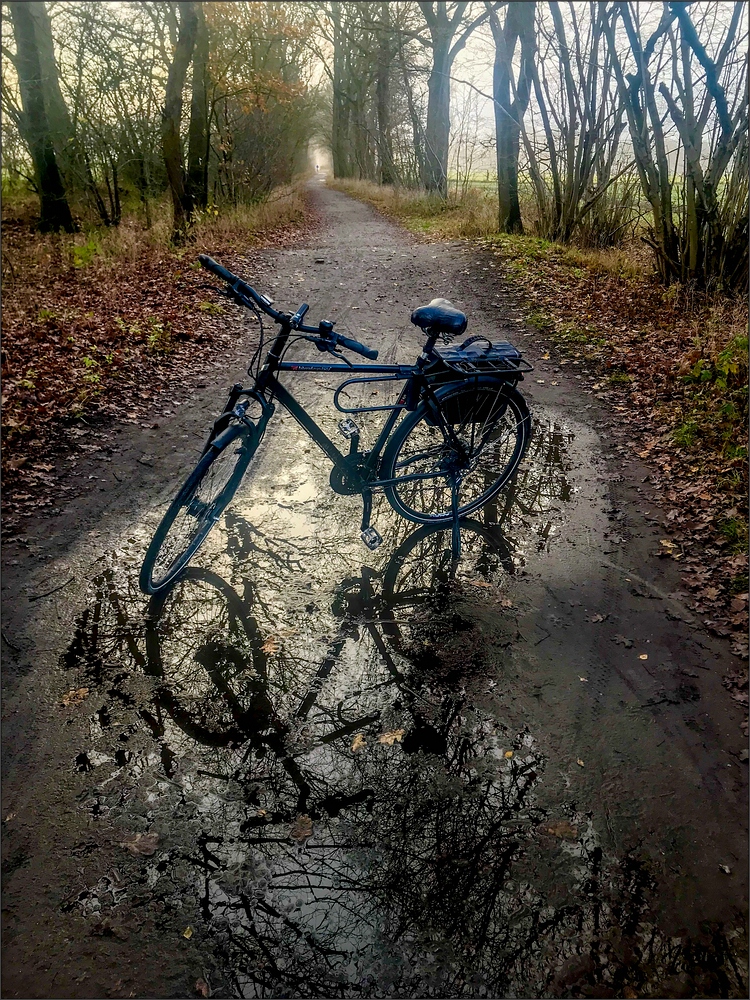 * Bicycle tour through autumn landscape *