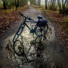 * Bicycle tour through autumn landscape *