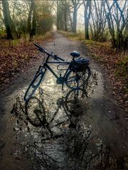 * Bicycle tour through autumn landscape *