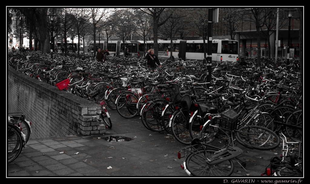 bicycles