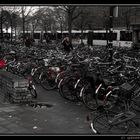 bicycles