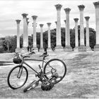 Bicycles and Columns