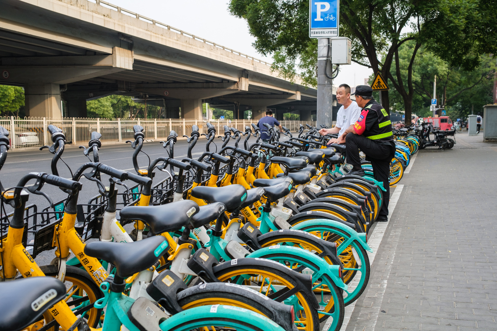 Bicycles for rent