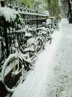 bicycles in berlin